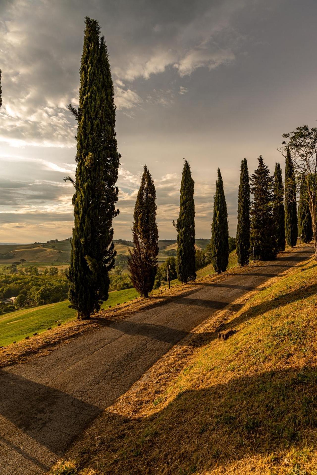 Agriturismo Percenna Buonconvento Εξωτερικό φωτογραφία